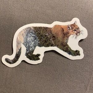 🌈20/$12🌈 Wildlife Cougar Design Sticker